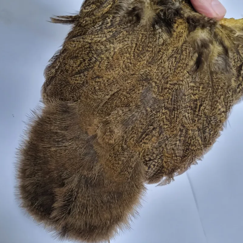 Whiting Coq de Leon Hen Soft Hackle with Chickabou in Speckled Golden Olive-4